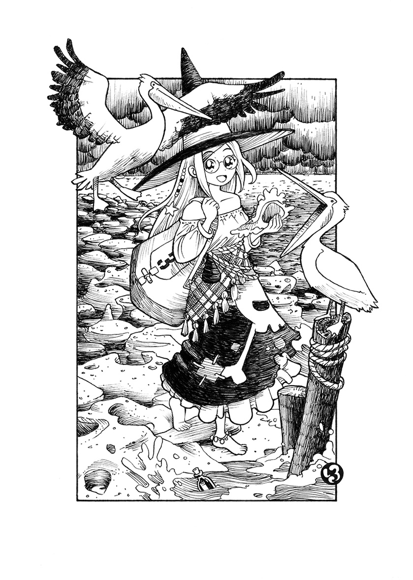 Witch in St Augustine A witch collection shells on a rocky beach with pelicans.
